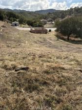 MLS #PI25241804 image #0