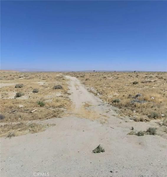 MLS #PI25249991 image #0