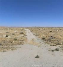 MLS #PI25249991 image #0