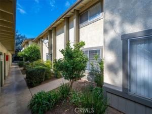 MLS #PI25260768 image #0