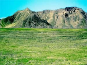 MLS #PI25264691 image #0