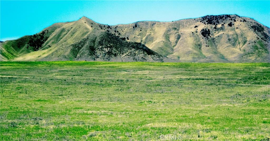 MLS #PI25264691 image #0