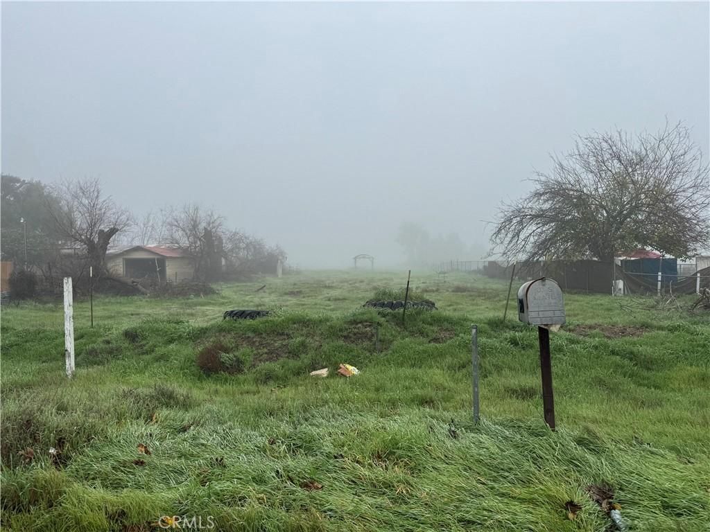 MLS #PI25281229 image #0