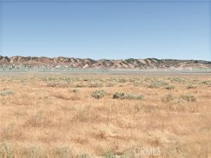 MLS #PI26138356 image #0