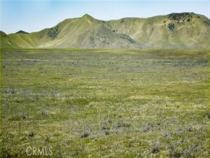 MLS #PI26206744 image #0