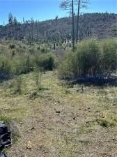1234 Hog Ranch Rd Oroville CA 95965 | MLS #PT24051656 45 MLS #PT24051656 image #0