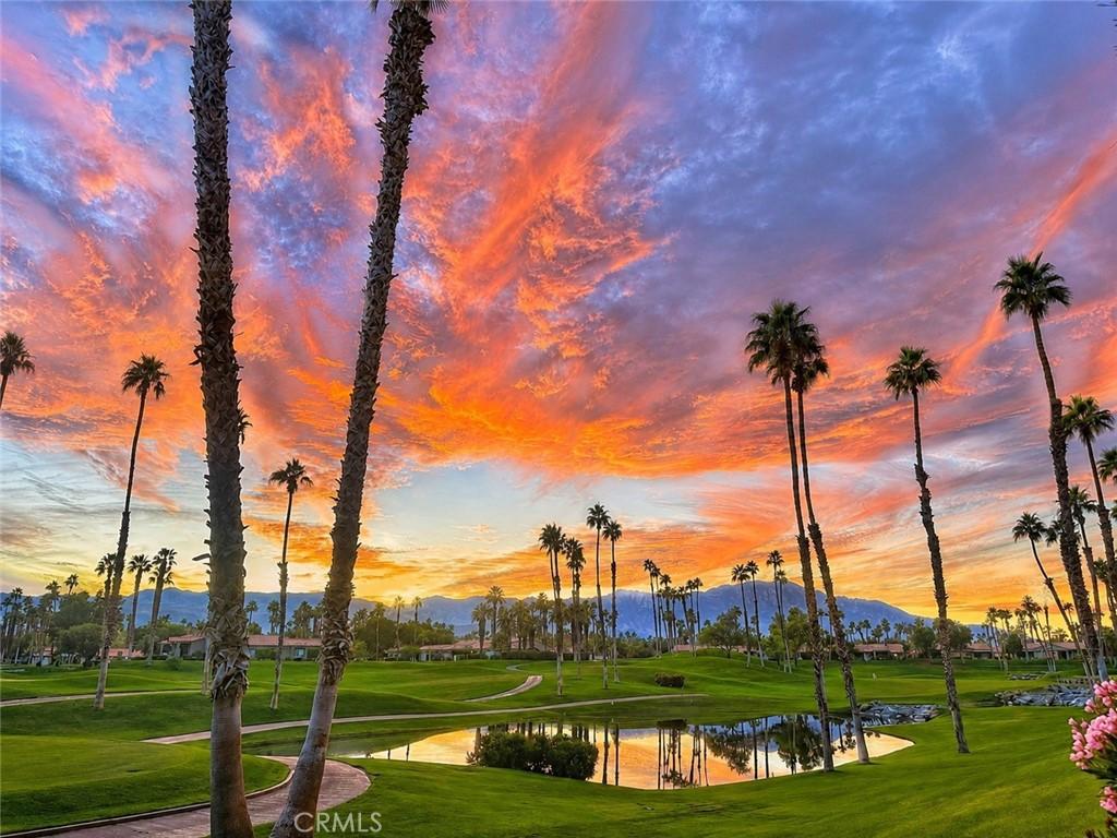 MLS #PT26099739 image #0