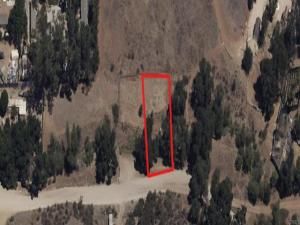 MLS #PTP2401420 image #0