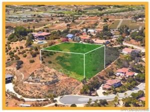 MLS #PTP2405367 image #0