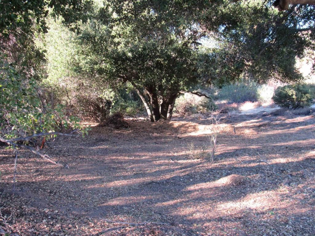 MLS #PTP2407325 image #0