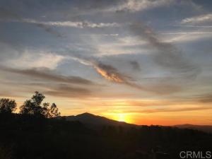 MLS #PTP2407509 image #0