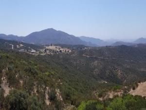 MLS #PTP2500014 image #0