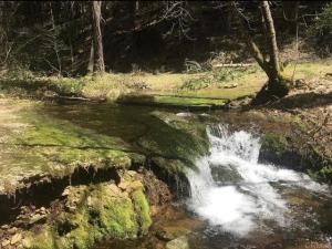 MLS #PTP2500773 image #0