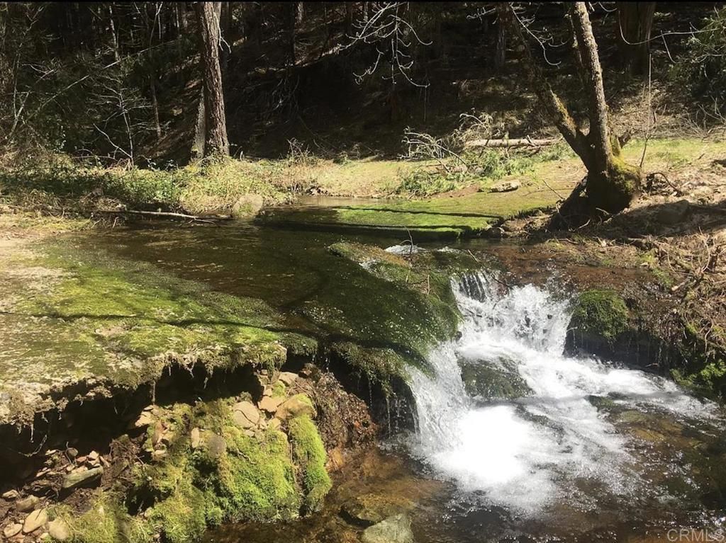 MLS #PTP2500773 image #0