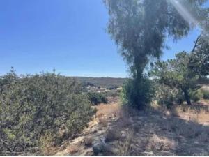 MLS #PTP2504203 image #0