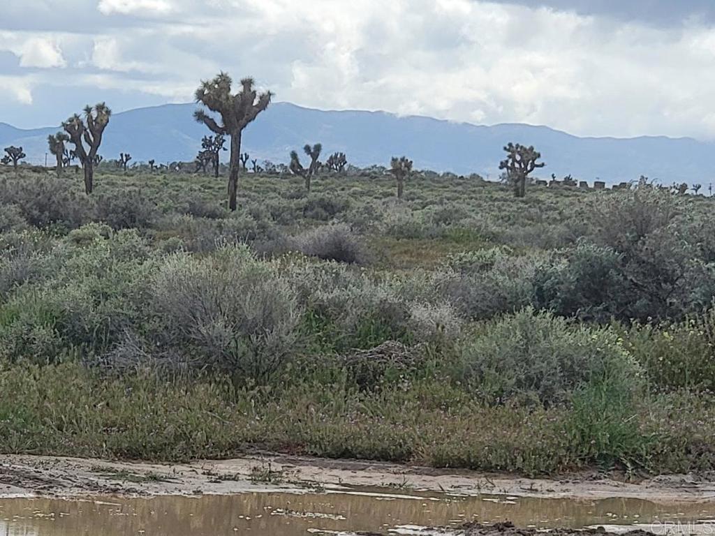 MLS #PTP2505296 image #0