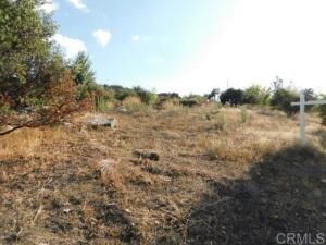 MLS #PTP2506820 image #0