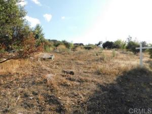 MLS #PTP2506820 image #0