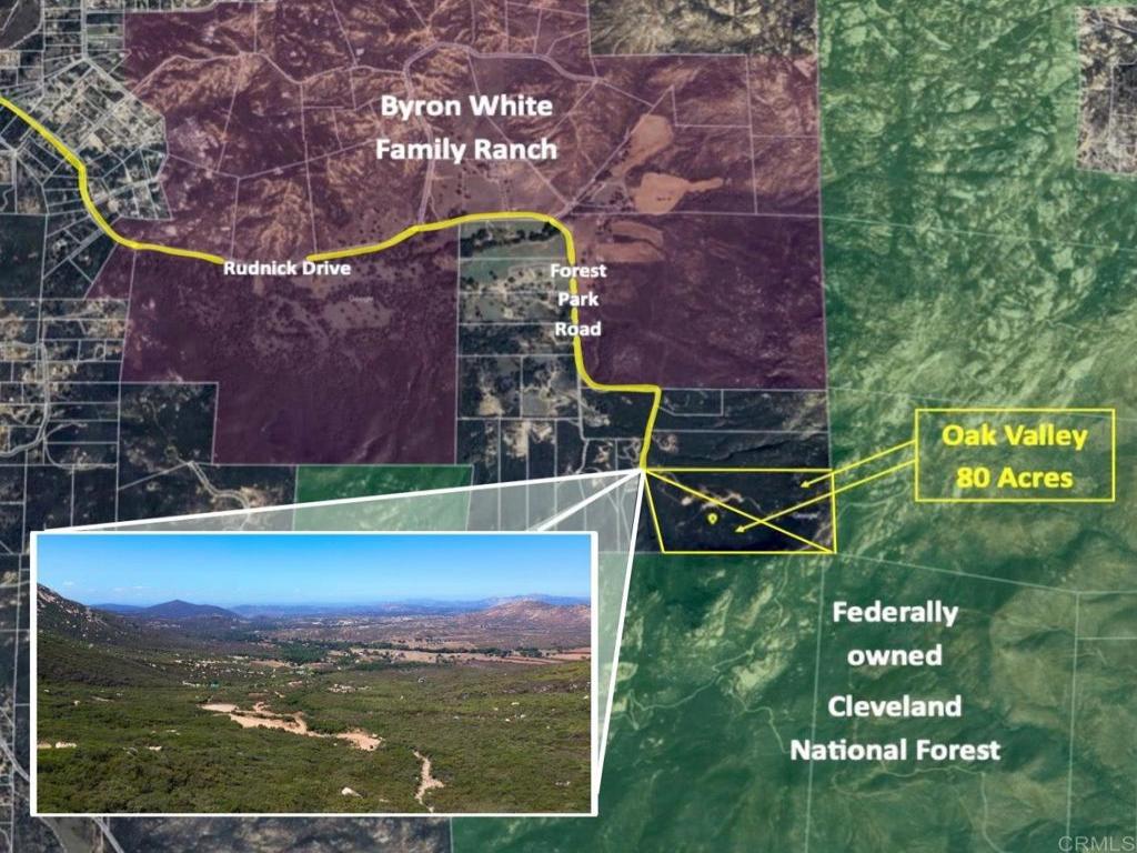 MLS #PTP2507010 image #0