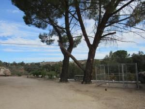 MLS #PTP2507020 image #0