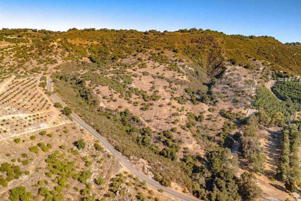 MLS #PTP2508186 image #0