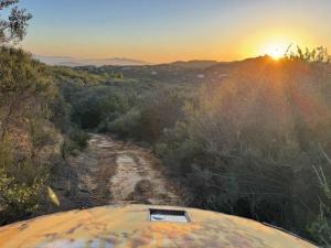 MLS #PTP2508259 image #0