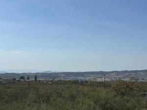 MLS #PTP2508432 image #0