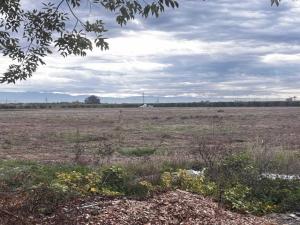 MLS #PTP2508593 image #0