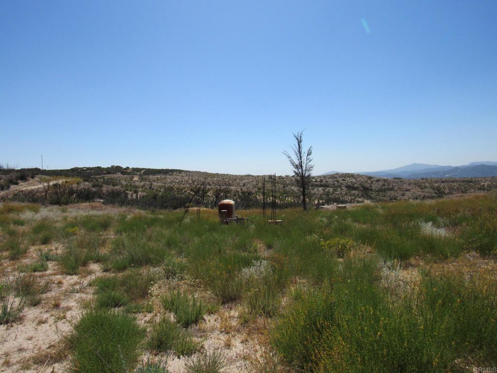 MLS #PTP2509176 image #0