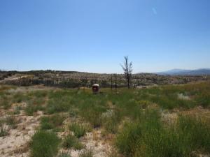 MLS #PTP2509176 image #0