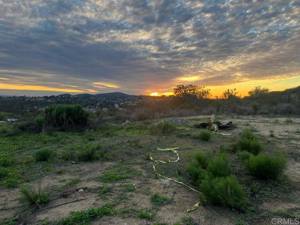 MLS #PTP2509336 image #0