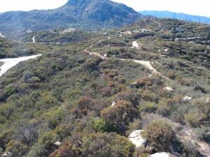 MLS #PTP2600098 image #0