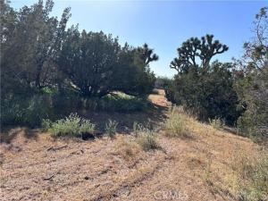 MLS #PTP2600179 image #0