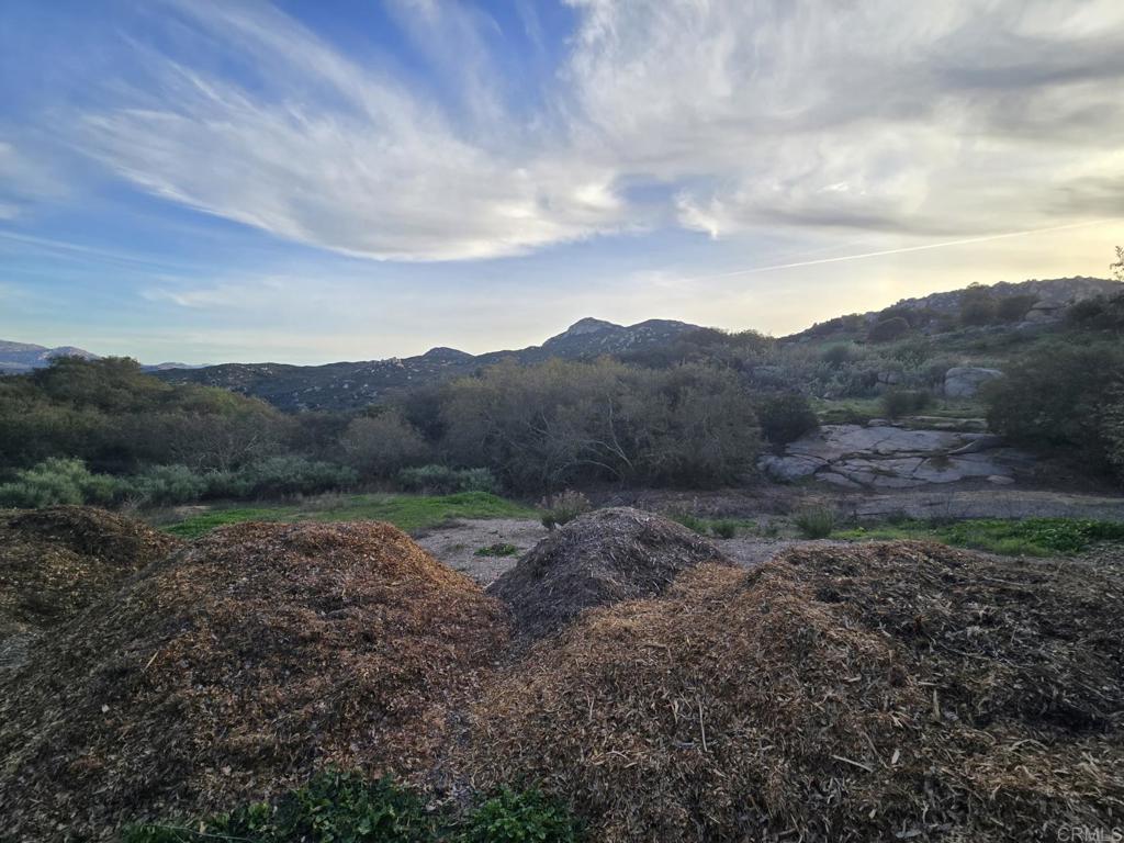 MLS #PTP2600677 image #0