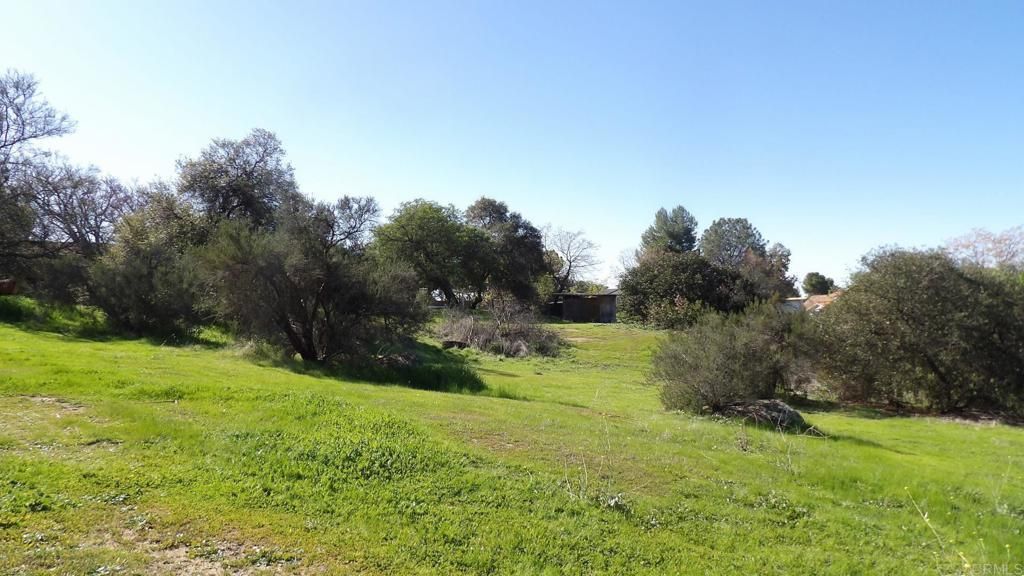 MLS #PTP2601019 image #0