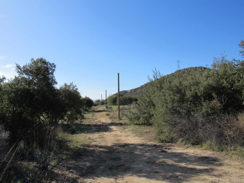 MLS #PTP2601114 image #0