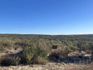 MLS #PTP2601471 image #0
