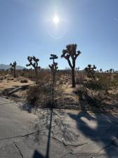 MLS #OC25210959 image #0