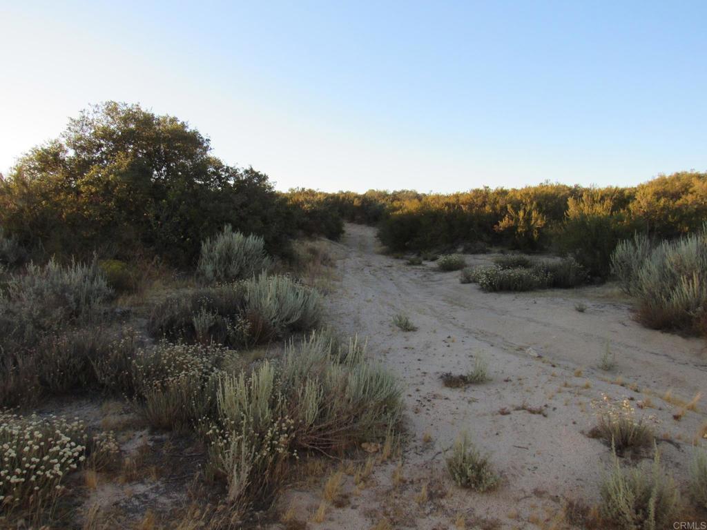 MLS #PTP2605274 image #0