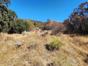 MLS #PTP2605823 image #0