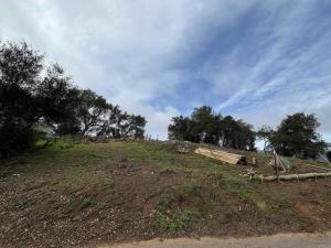 MLS #PTP2605879 image #0