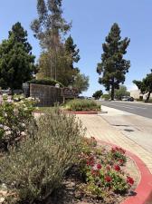 MLS #PTP2606068 image #0