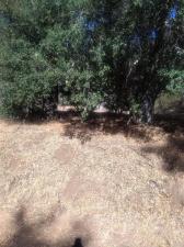 MLS #PTP2606811 image #0