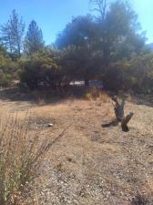 MLS #PTP2606811 image #0