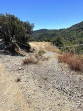 MLS #PTP2606817 image #0