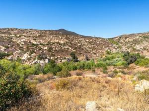 MLS #PTP2607652 image #0