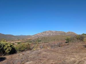 MLS #PTP2607776 image #0