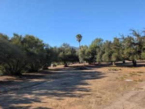 5835 Alpine Boulevard Alpine CA 91901 | MLS #PTP2607779 21 MLS #PTP2607779 image #0