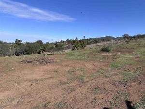 MLS #PTP2607835 image #0