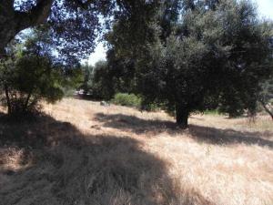 MLS #PTP2607857 image #0